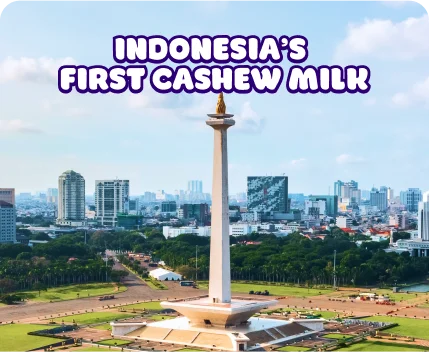 susu kacang mede
