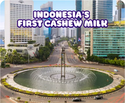 susu kacang mede